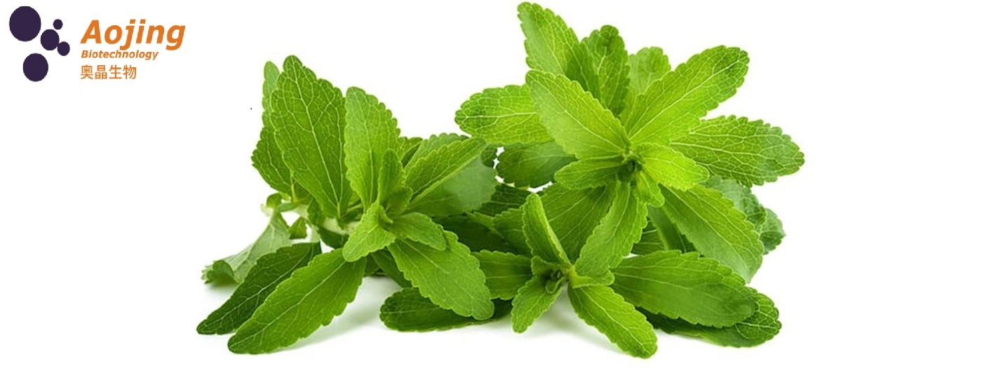 Extrato de Stevia natural assar o sabor dos alimentos