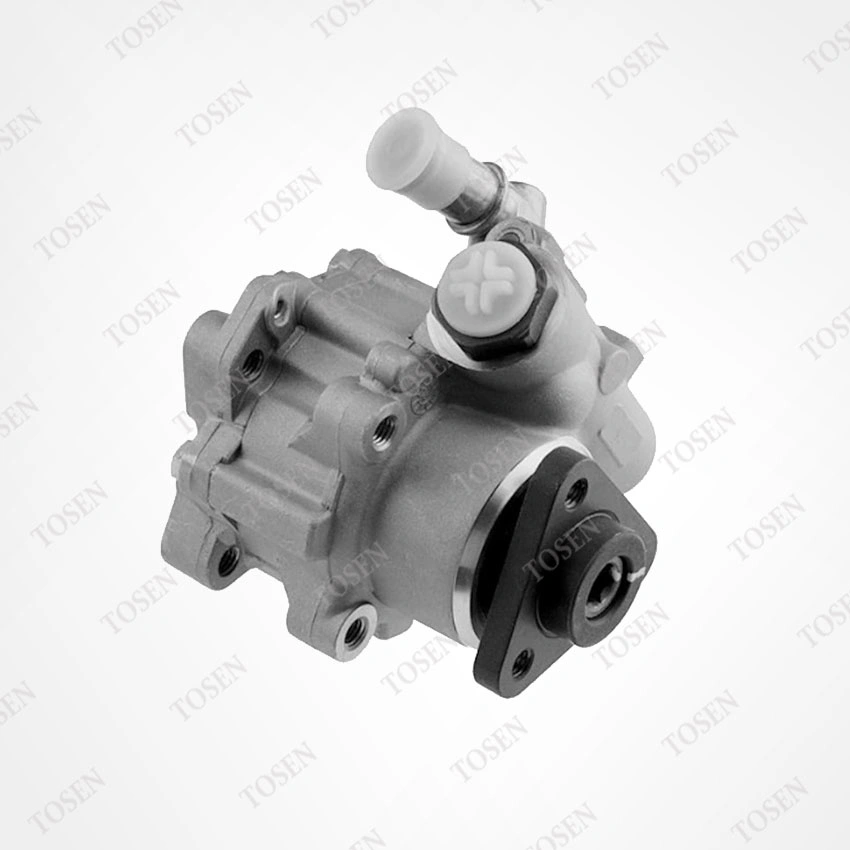 Car Spare Part Power Steering Pump 8d0145156n 8d0145156nx Auto Parts for Audi VW Auto Parts