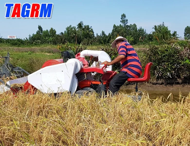 Combine Rice Harvester 4lz-1.2 Portable Rice Harvester Mini Rice Harvester Machine