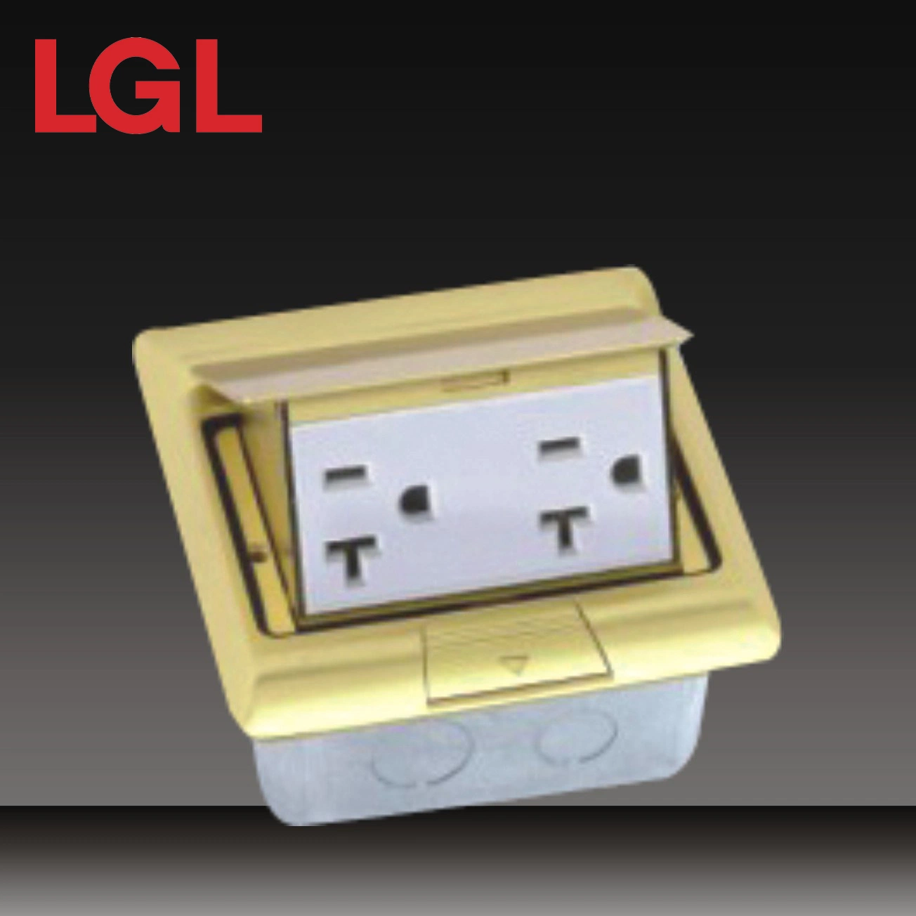 2 Gang Telephone Socket (HDC-5-3)