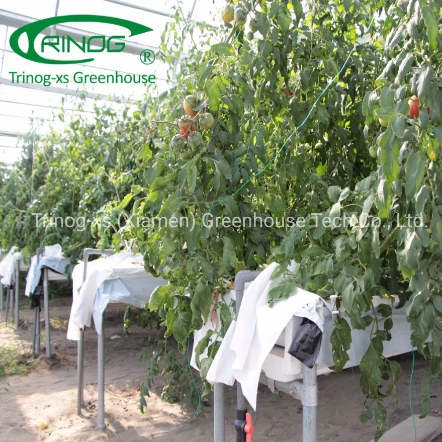 Trinog agricultural roof vent hook hanging tomato hydroponics growing green house for farm