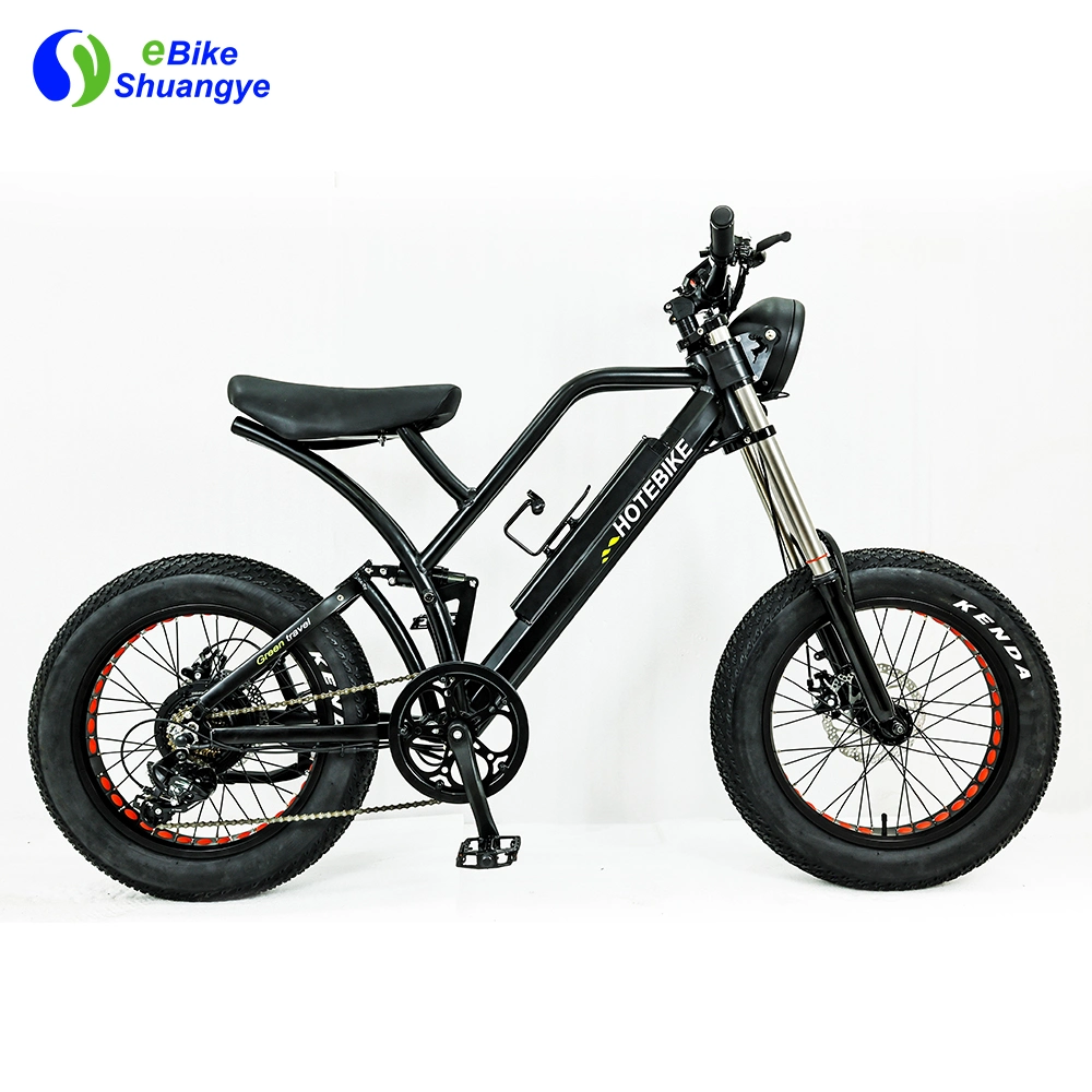 Personalizado de 20 pulgadas suspensión total bicicleta eléctrica neumático Fat Ebike 500W Motor de 750 W E Dirt Bike