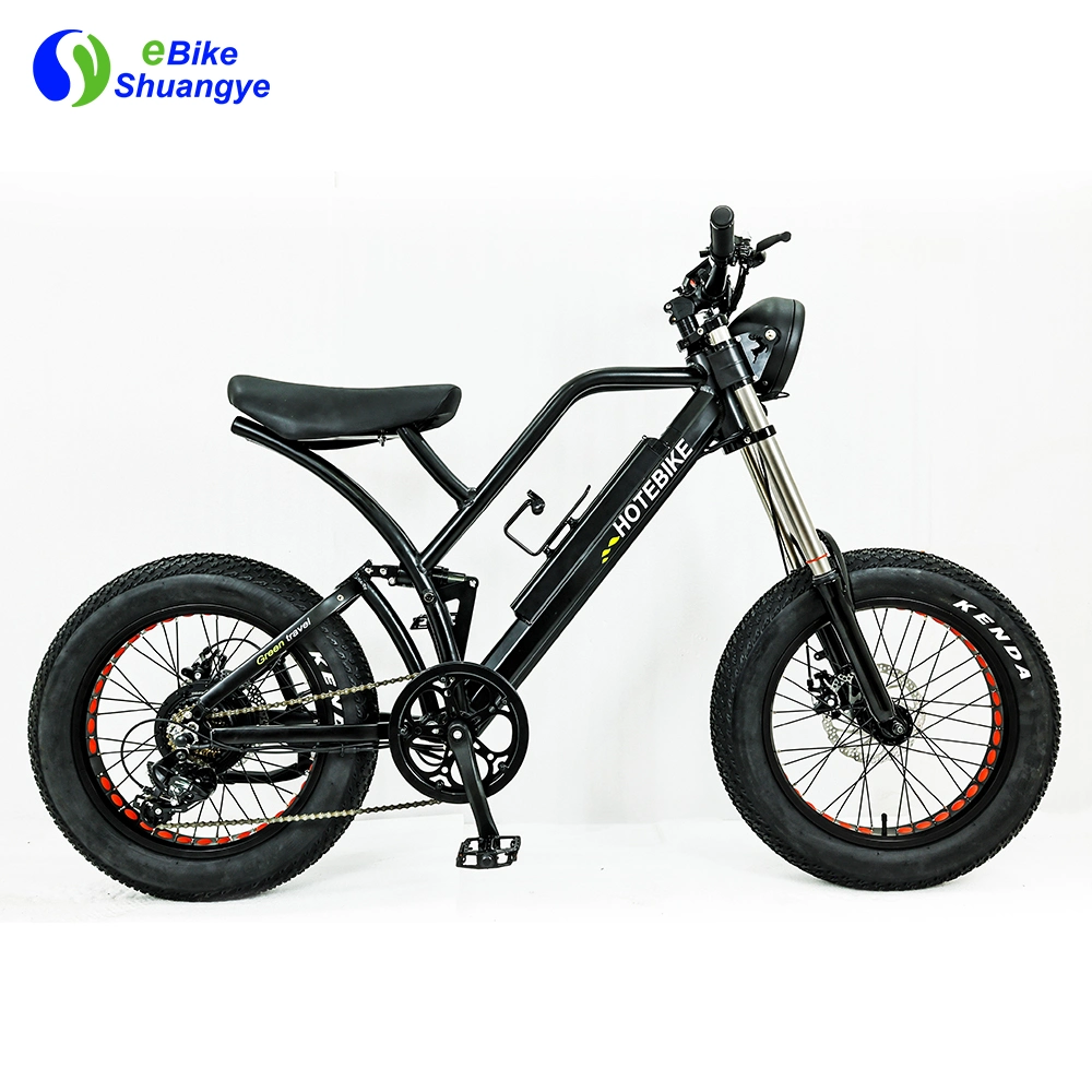 20 Zoll Customized Full Suspension Electric Bicycle Fat Tire Ebike 500W 750W Motor E Dirt Bike