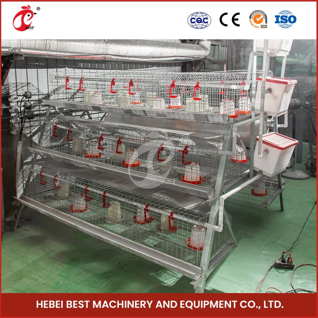 Bestchickencage a Type Baby Chicken Cage Breeder Cage China Small Indoor Baby Hen Coop Supplier Custom Applicable Poultry Field Brooder Cage