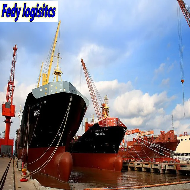 Professional Sea Freight Forwarder Agent Shipping From China to Colombia/Buenaventura, Guayaquil