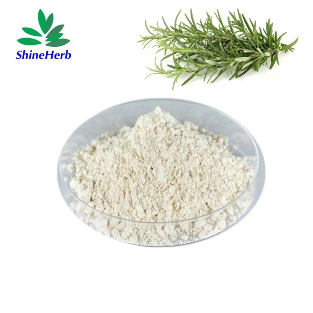 Rosemary Extract 98% Rosmarinic Acid