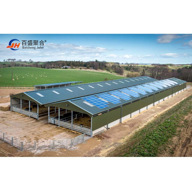 Low Cost Livestock Shelter Dairy for Live Cattle and Goat Shed