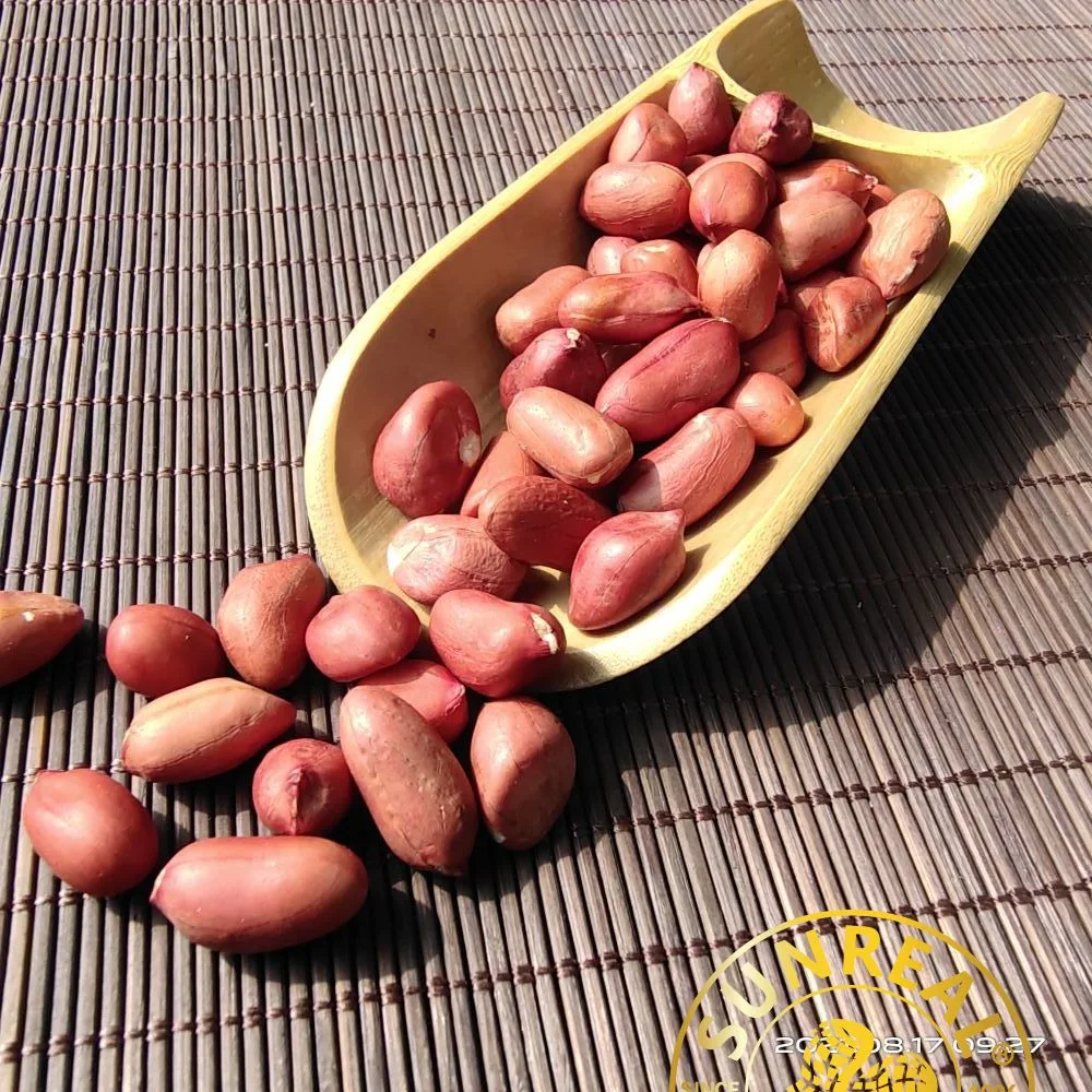 Raw Peanut Kernels/Red Skin/Superior Quality/Multipurpose/Pukee Foods/Sunreal