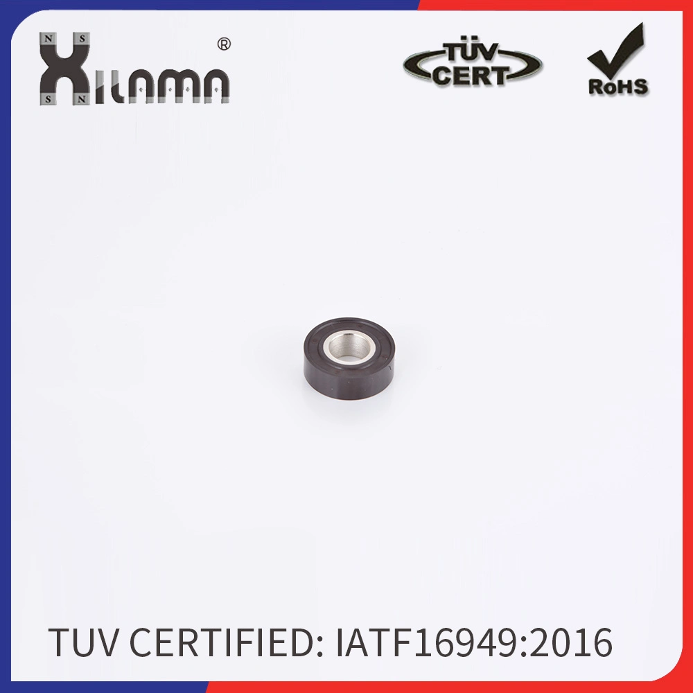 Haut Multi-Polar performent cautionné Injection plastique du moteur de l'anneau de l'aimant NdFeB de ferrite