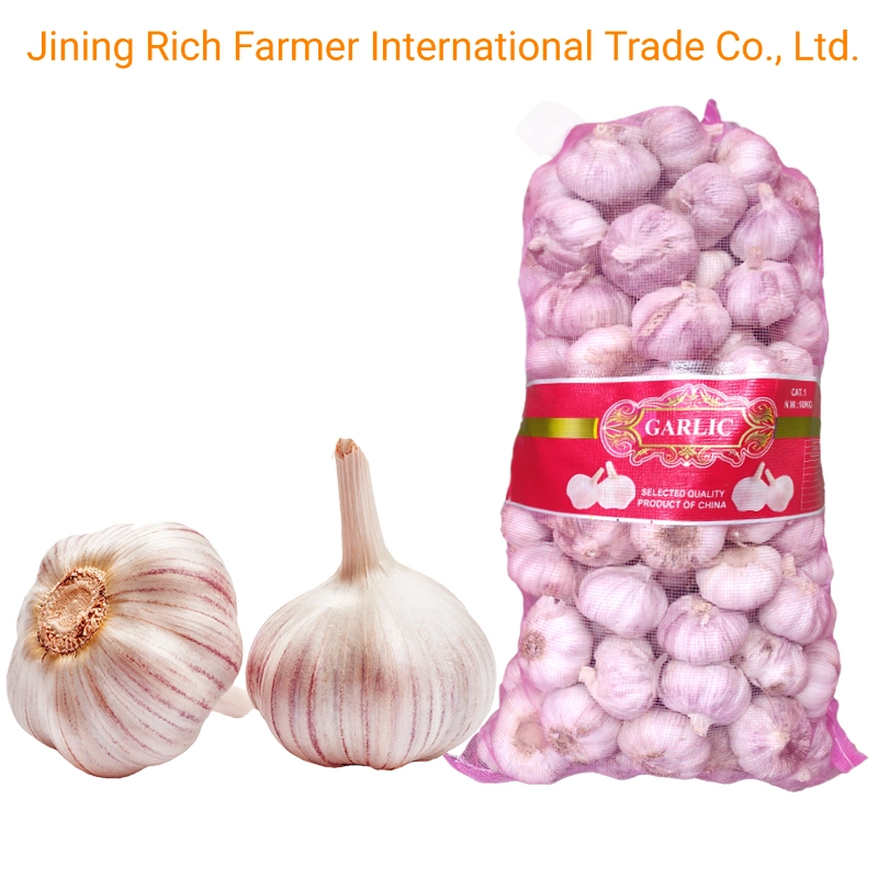 2022 China New Fresh Garlic 5.5 Cm-6.0 Cm in Mesh Bag