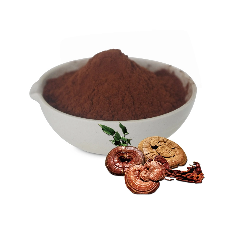 Ganoderma Lucidum Spore Mushroom Extract Supplement Powder Wall Broken