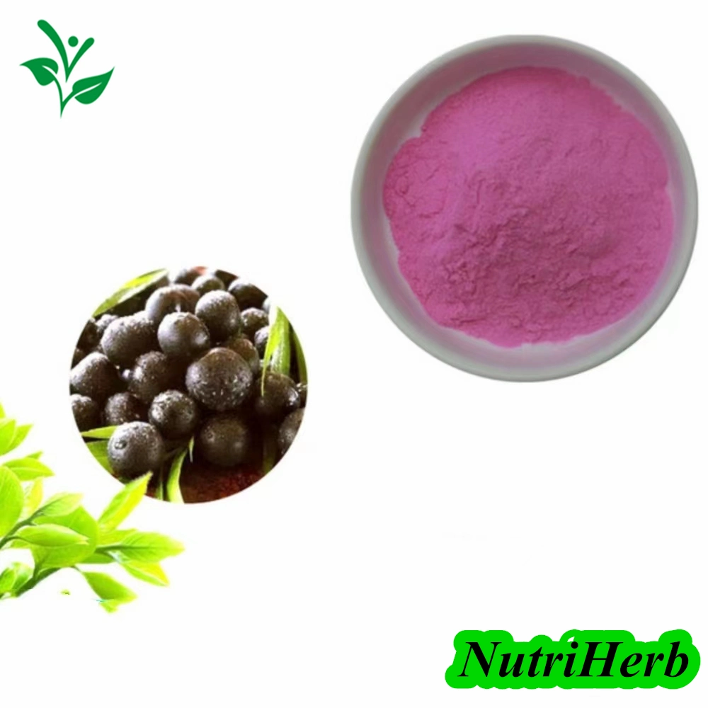 Healthy Food Ingredient Acai Berry Juice Powder Bulk Acai Juice Powder