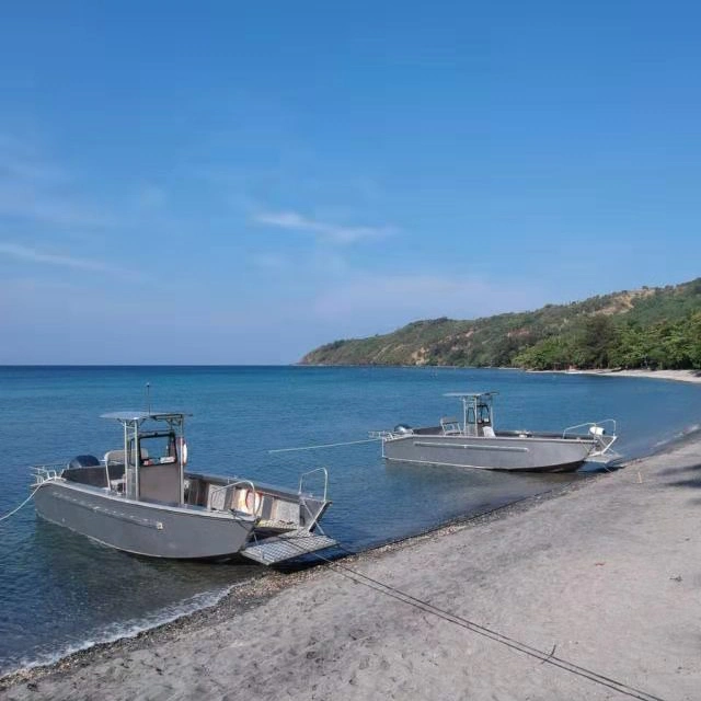 BATEAU de travail DE BATEAU DE 26 PI bateau à moteur embarcation pour cargaison Transport