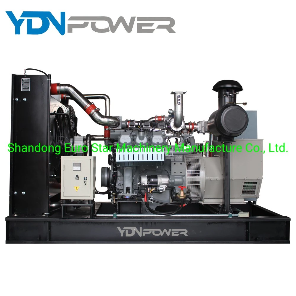 Hot Selling 150kw Biogas Generator Generator Set Industrial and Agricultural Production Generators