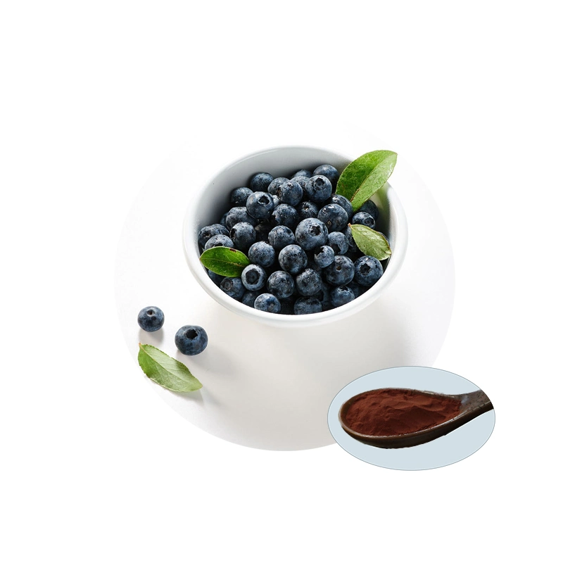 Anti-Aging and Cosmetic Anthocyanindins Whortleberry Bilberry Plants Extract for Sale Plant Extract