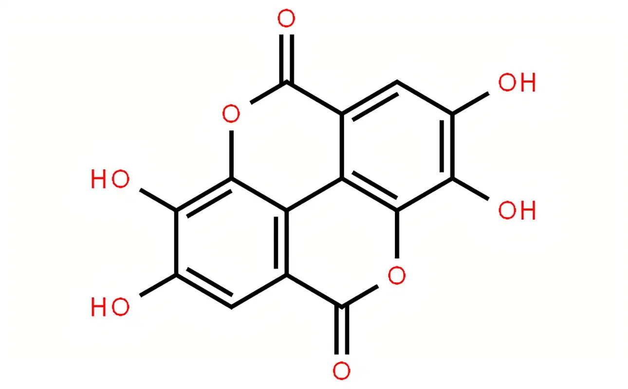 Anti-Sedation Antihypertensive Antitumour Medicine Medical CAS 476-66-4 Ellagic Acid Dihydrate