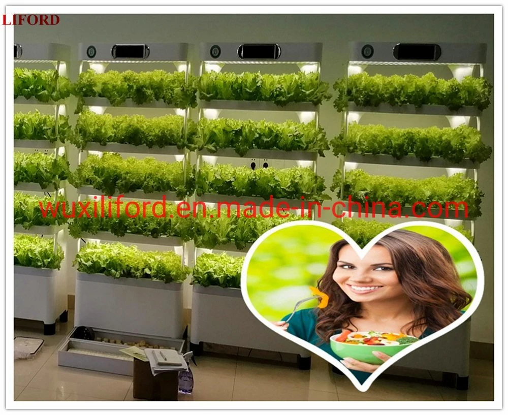 Indoor Automatic Hydroponics Growing System Vertical Farming