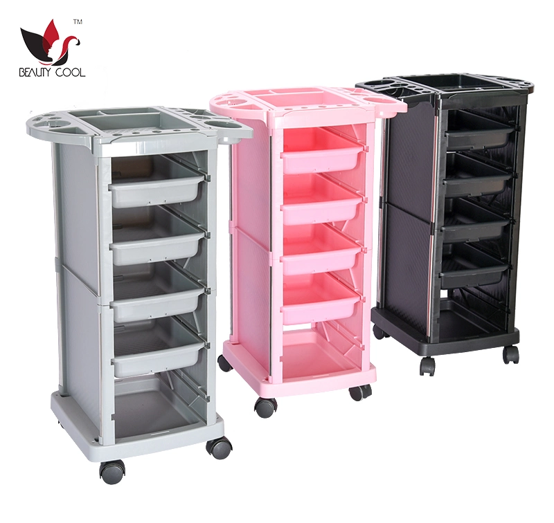 Salon Equipment Pink Beauty New Barber Salon Trolley Stand with Wheels