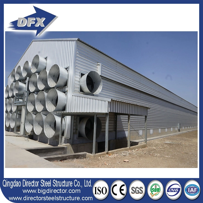 Dfx Steel Structure Chicken Shed Building Controlled Poultry Farms