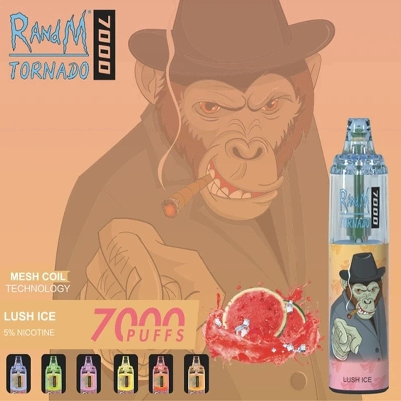 Amazing Design Randm Tornado 7000 Puffs 14ml Oil with RGB Light Vape