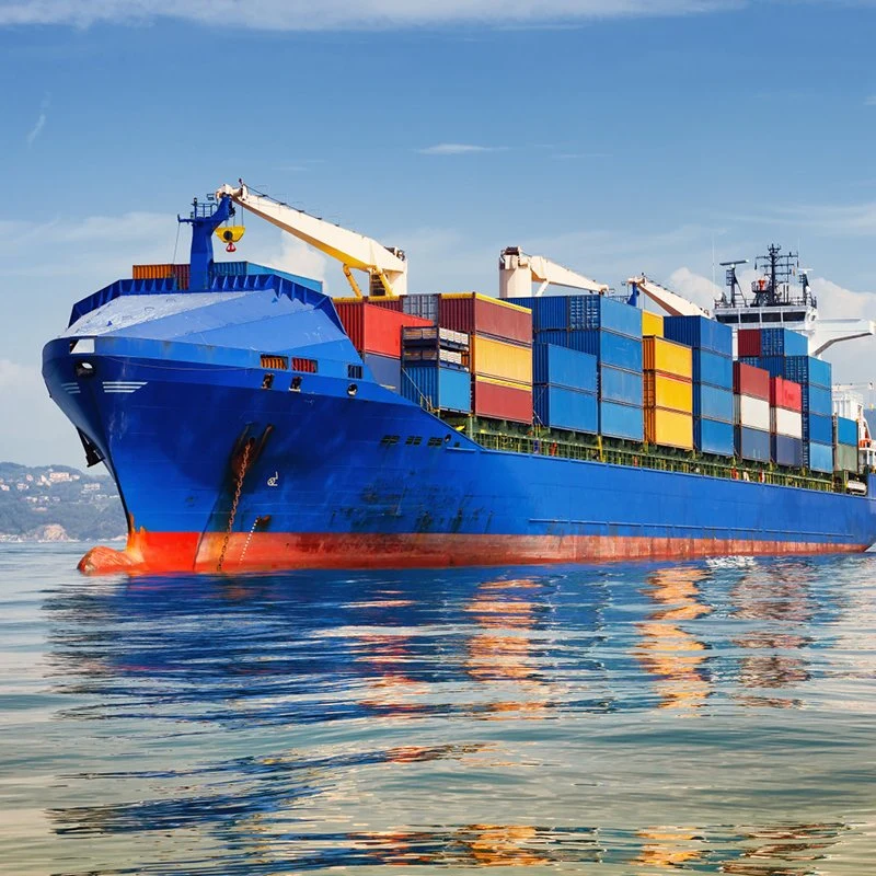 Shenzhen Cheapest DDP Shipping Rates Door to Door to USA Sea Freight Forwarder