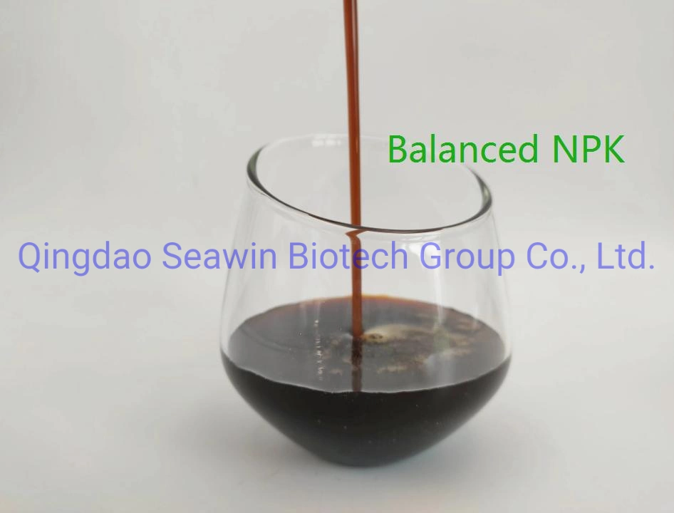 Seaweed Gel, Rich in Natural Alga Extract, Pure Natural Mineral Humic Acid and Fulvic Acid