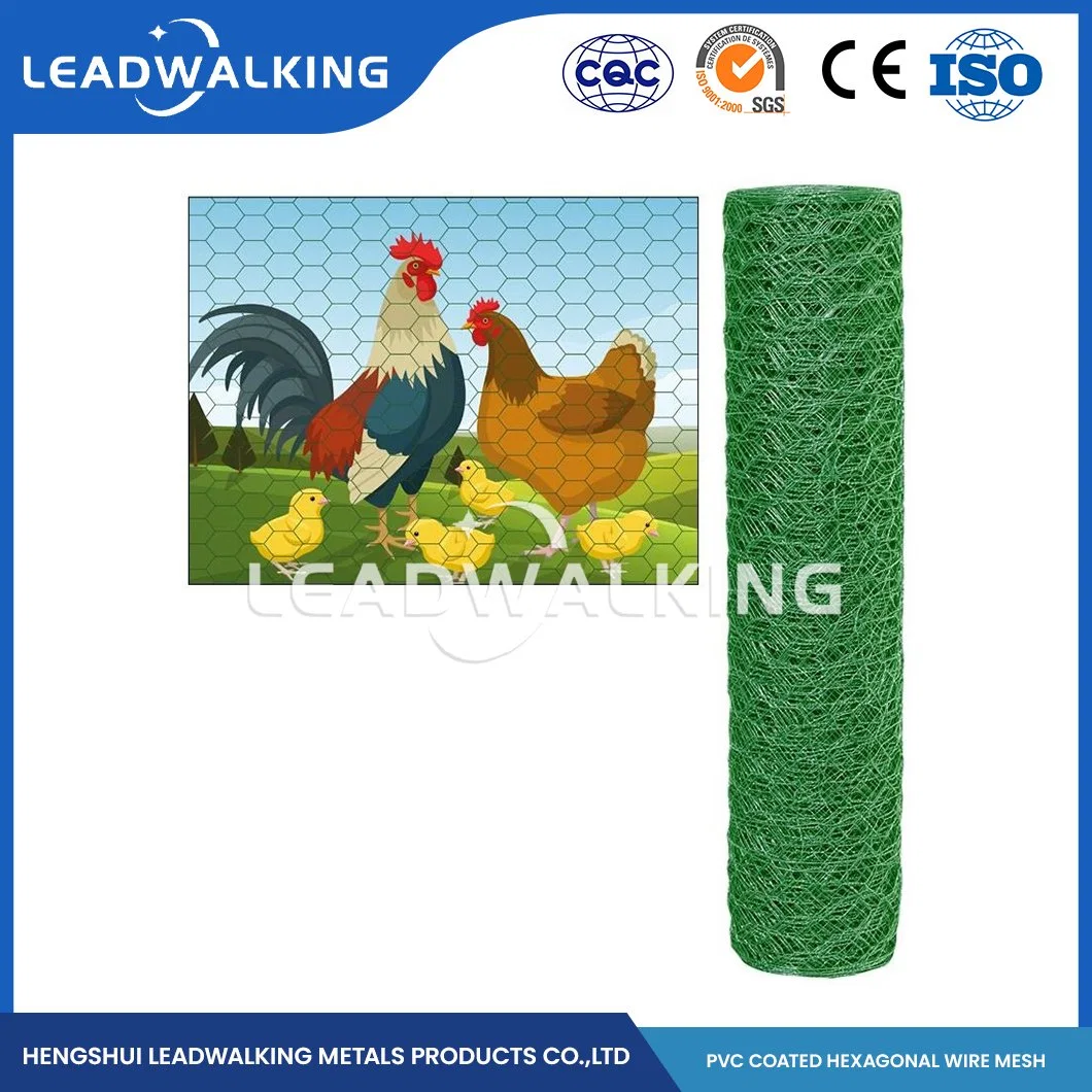 Leadwalking material de alambre de acero suave PVC recubierto de malla de pollo metálico Fabricantes China 19mm Mesh Galvanized Metal Hexagon Netten