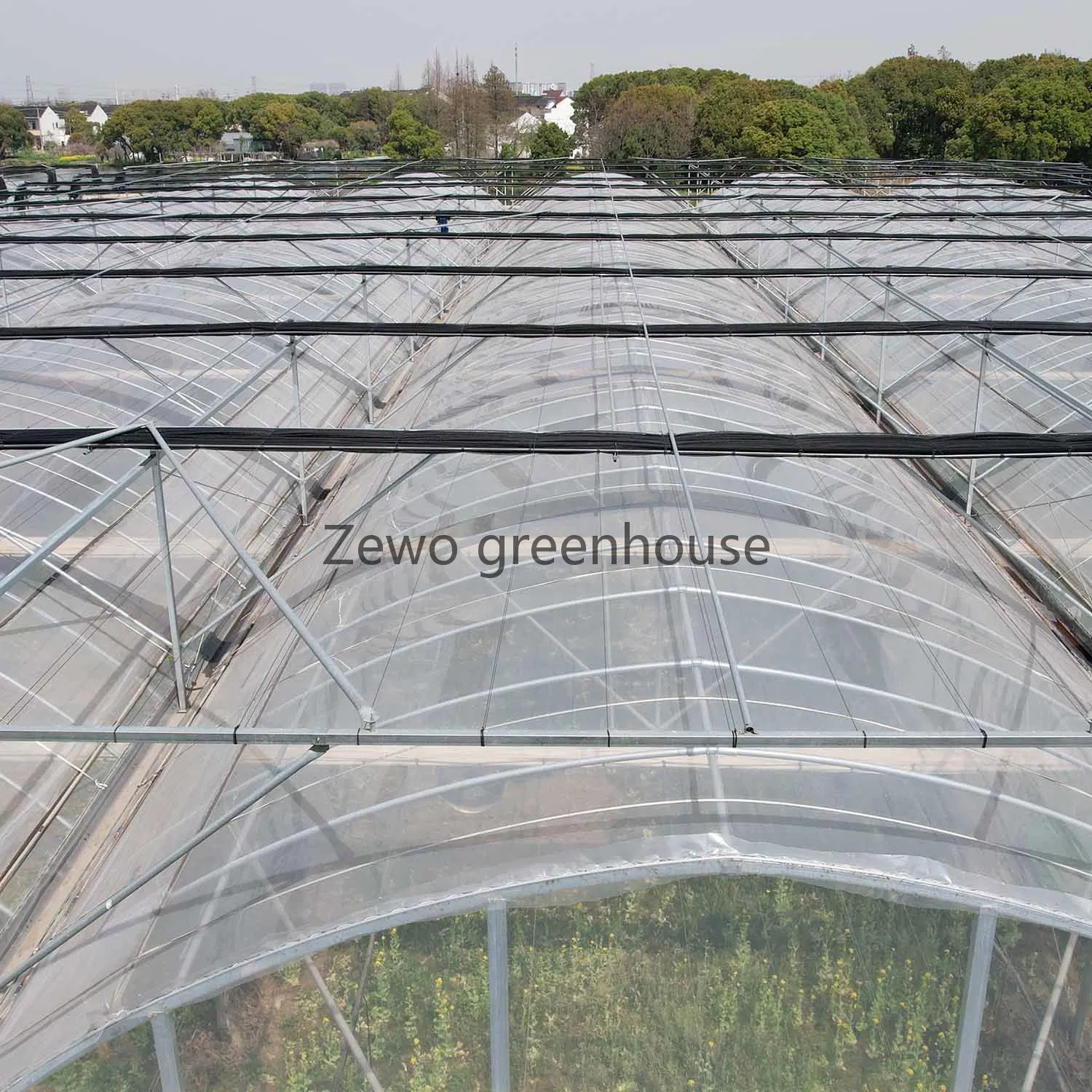 Customized Greenhouses Project Multi-Span Plastic Film Green House for Vegetable