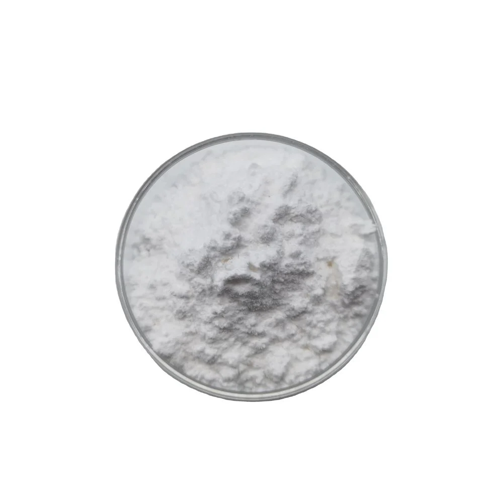 Hot Sale Carbopol / Carbomer 940 Powder for Gel