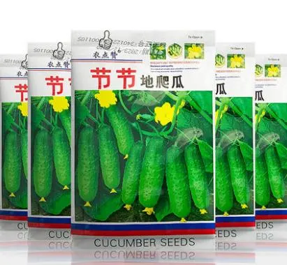 Heat Cold Strong Disease Resistance Spikes Cucumber Seeds