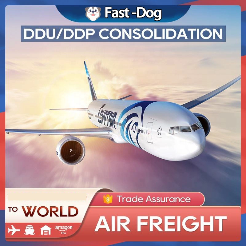 Logística Frete Forwarder para Reino Unido/EUA/Itália/França/Alemanha FBA Amazon by Air Shipping A partir da China DDP Serviço de porta a porta