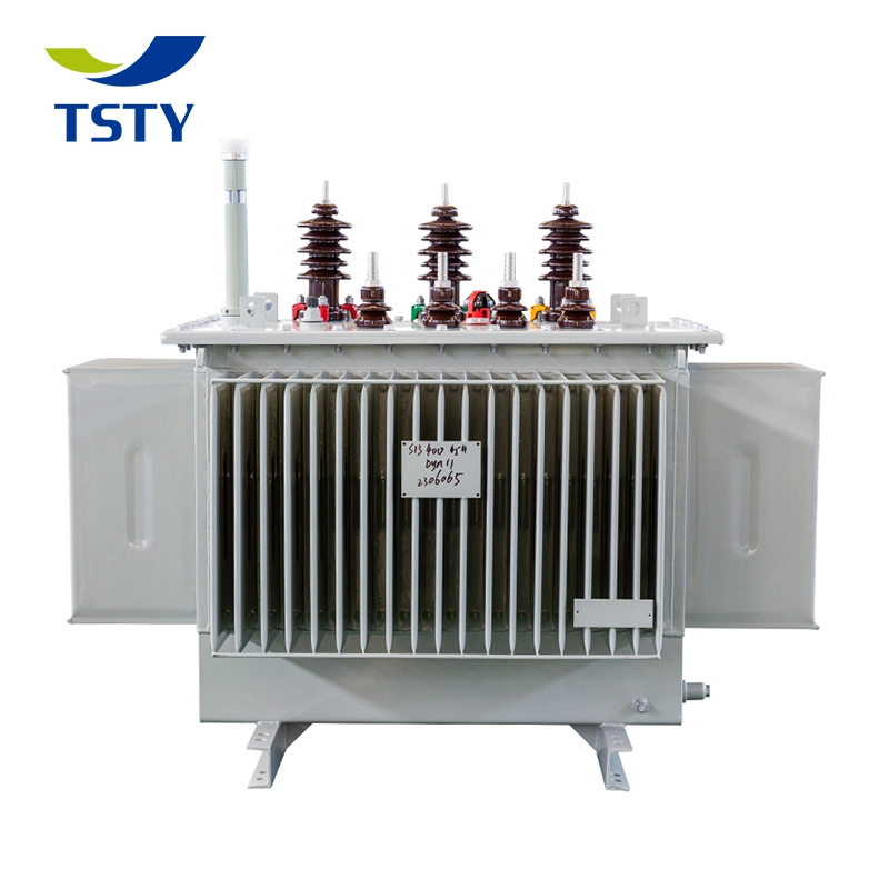 S13 100kVA 11kv 0.4kkv Supply China Outdoor Distribution Step Down Oil Immersed High Low Voltage Power Electrical Three Phase Ttransformer