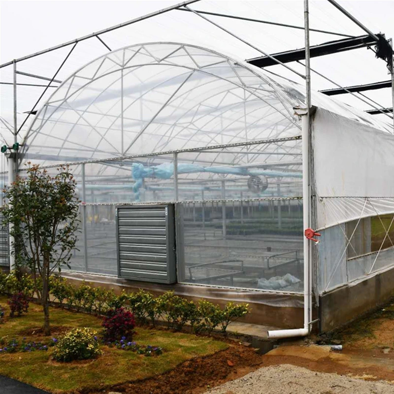 Modern Agriculture Farming Glass Greenhouse with Shading System