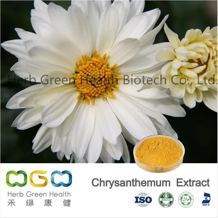 مصنع معتمد من قبل ISO زهرة الأقحوان الطبيعية مستخرج الزهرة 5: 1 10: 1 20: 1 مسحوق	لطليولين&gt;2.5%