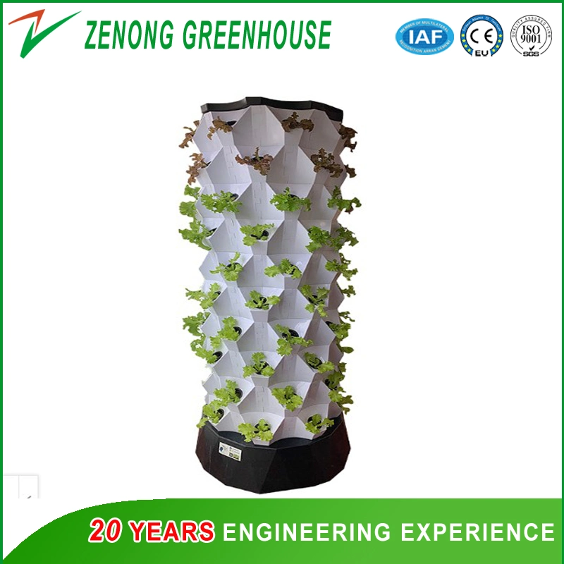 Vertical Hydroponics for Healthy Leafy Vegetable Cultivation/ Balcony Sight Seeing