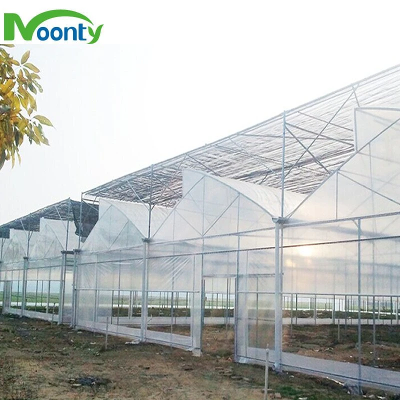 Commercial Agricultural Multispan Film Greenhouse with Roof and Side Ventilation