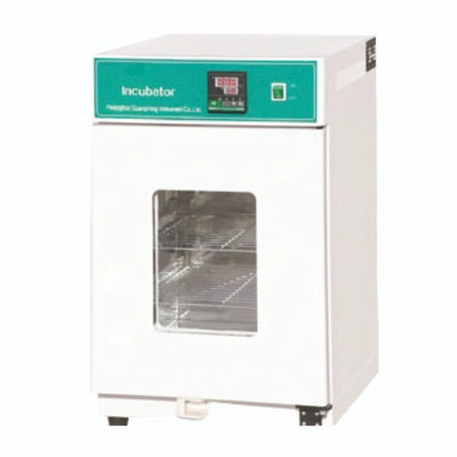 Buen precio 150L Termostato de incubadora de laboratorio de tipo vertical