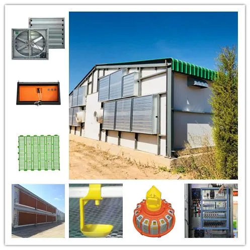 Easily Built Quick Installation Best Material Steel Poultry Farm Equipment