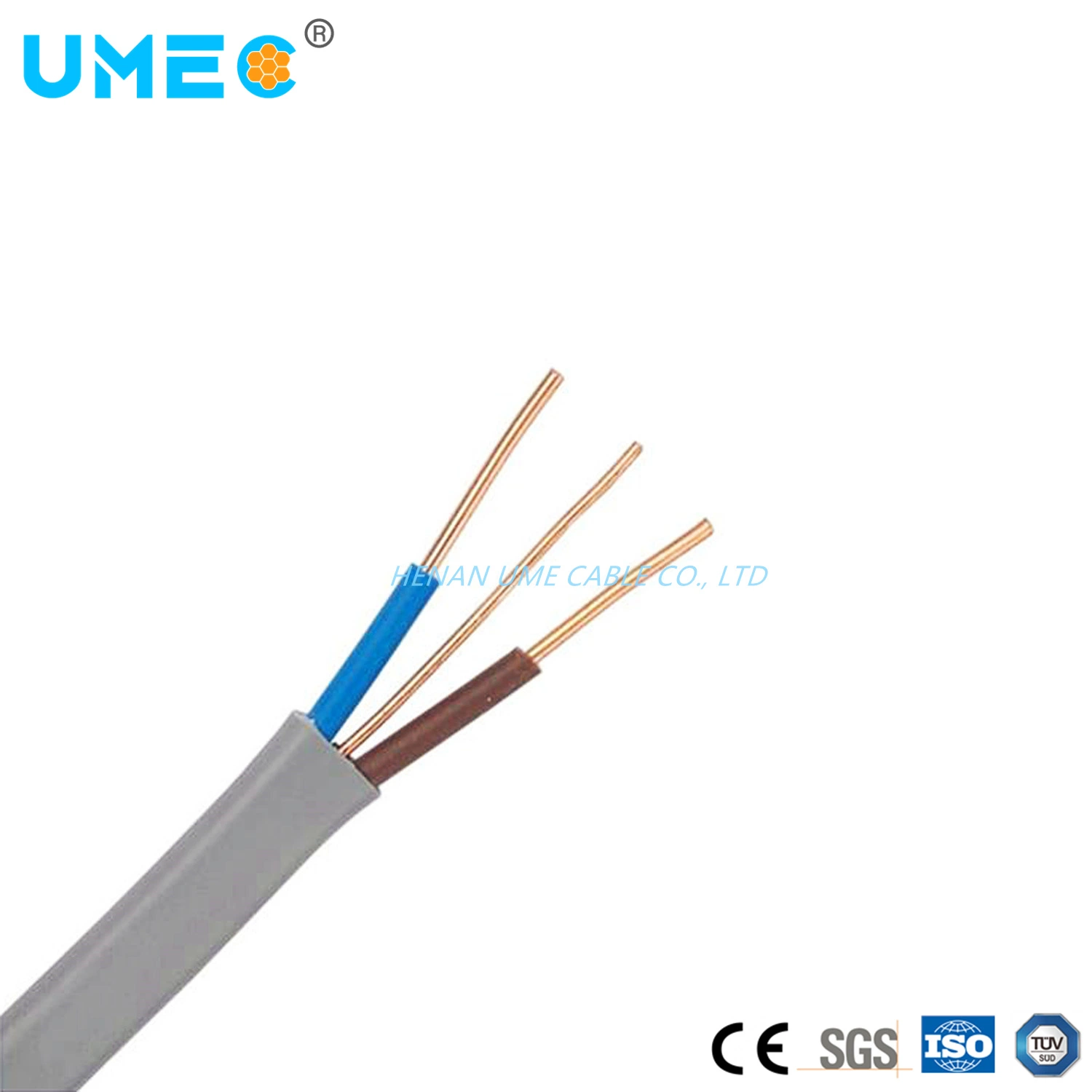 GB Standard Home Decoration Wire BVVB Blvvb 2core 3core 2+1core PVC Copper/Aluminum Core Sheath Wire Price