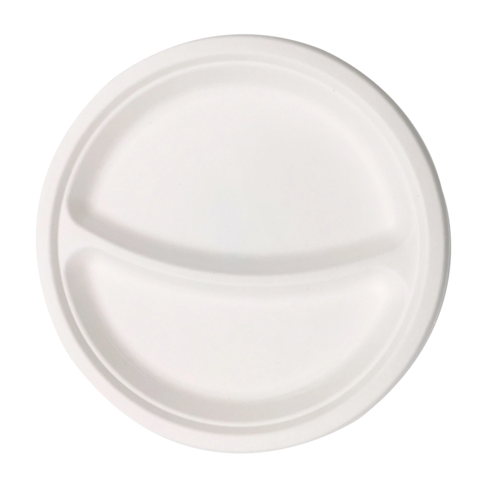 Eco-Friendly 100% Compostable Sugarcane Bagasse Heavy Duty Plates, 10 Inch White