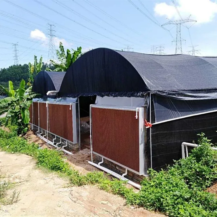 Pad and Fan Greenhouse Cooling Systems