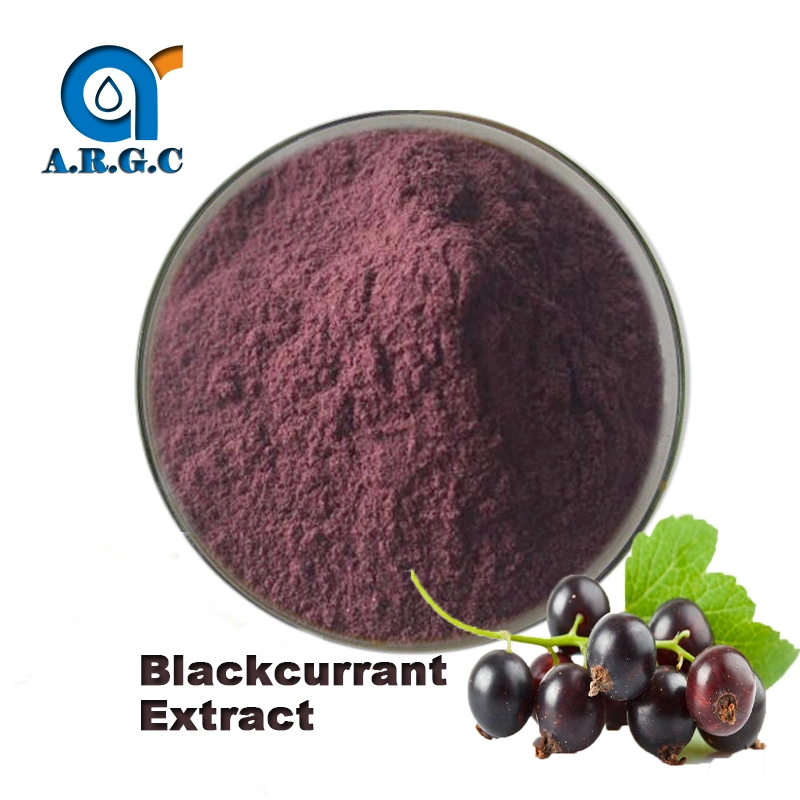 100% Natural Black Currant Fruit CAS No.: 84082-34-8 Blackcurrant Fruit Extract