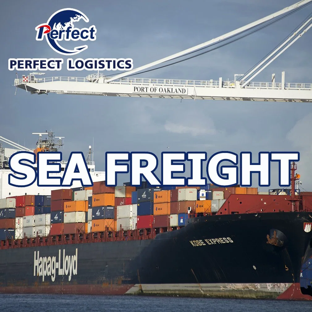 Ocean Shipping Fowarding Agent From China to Estonia/UK