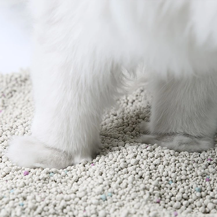 Litière pour chats professionnels au sable, bentonite, avec parfum