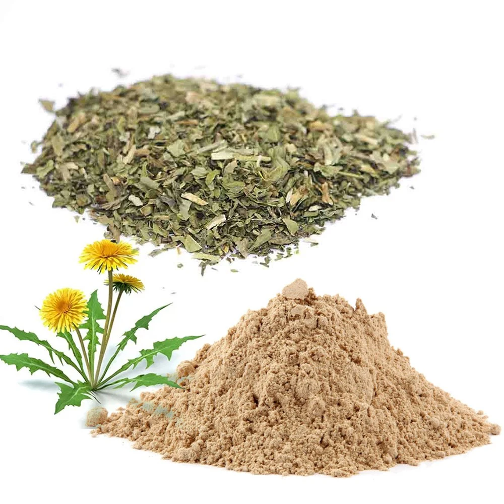 Dazec High quality/High cost performance Organic Dandelion Leaf Powder 1: 10 2: 10 5: 1 Natural Herbal Plant Extract for Food Health Care