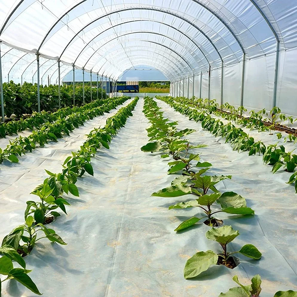 Túnel de comercial de la agricultura de invernadero vegetal de la película de plástico