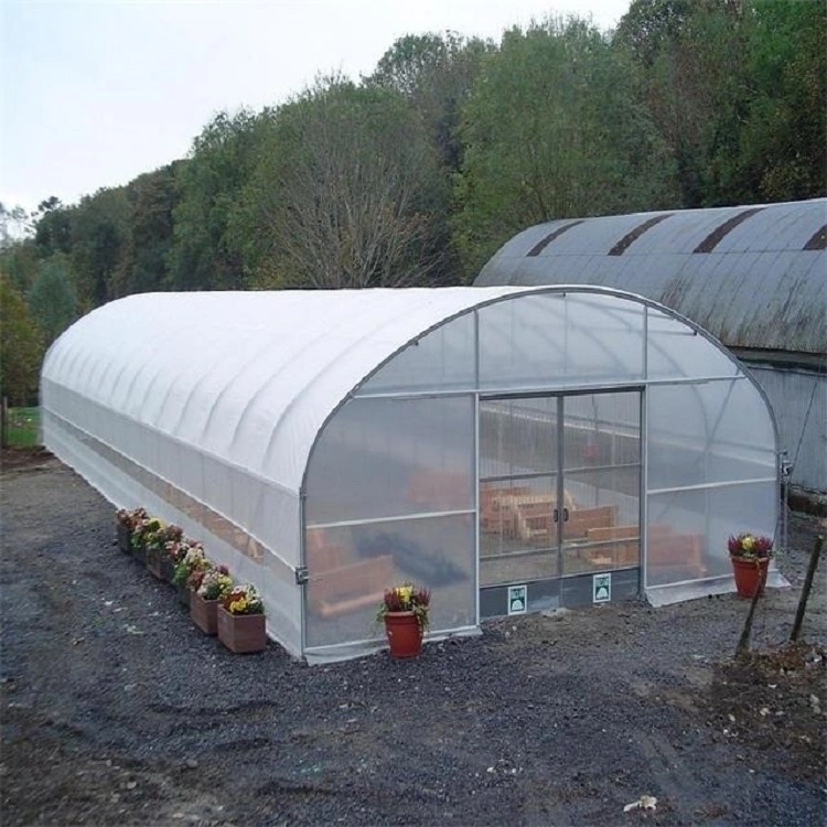 Low Tunnel Greenhouse 8m*10m Strawberry Tunnel Cheap Greenhouse Supplies