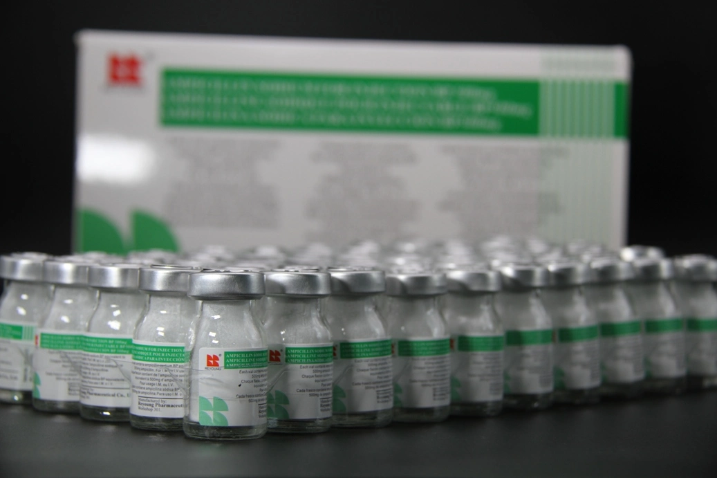 GMP Certified Ampicillin Sodium for Injection