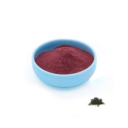 Factory Direct Supply Good Price Elderberry Extract