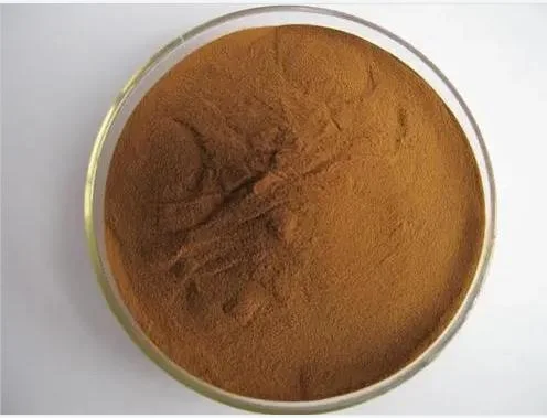 Bulk Supply Finger Root Extract Boesenbergia Rotunda L.